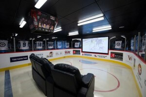Garage with hockey theme